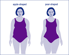 Apple shape or Pear shape body type