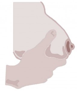 Supporting your breast Supporting your breast