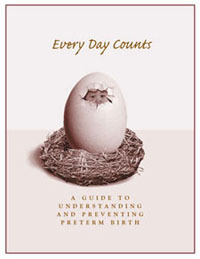 Cover of Every Day Counts