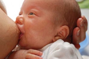 Newborn nursing