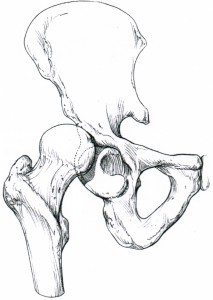 Simple dislocation from upward pressure Simple dislocation from upward pressure