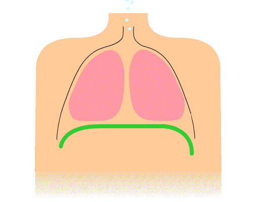 Diaphragmatic Breathing Diaphragmatic Breathing (deep breathing)
