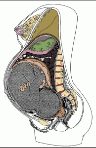 Lightening - after the baby moves down into the pelvis