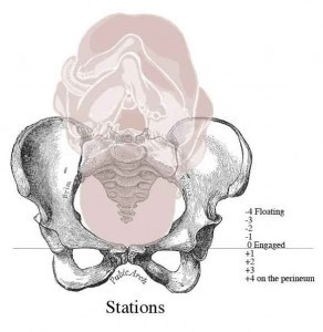 Baby Stations During Labor