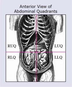 Abdominal quadrants