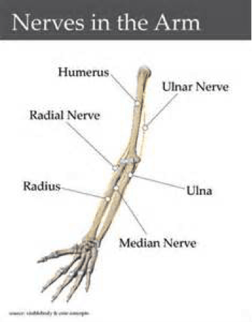 Elbow Nerves Picture