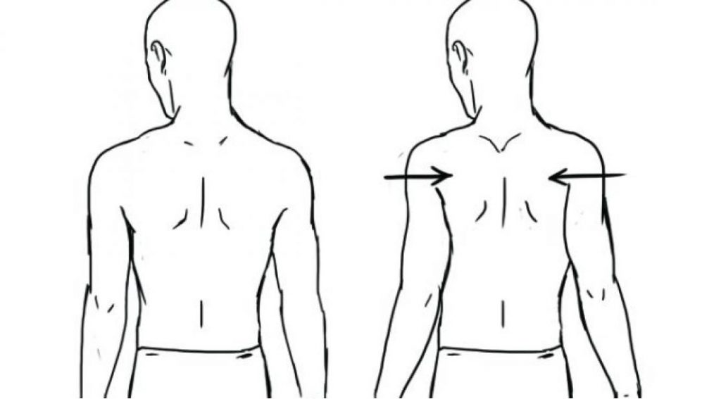 Scapular Retraction: Exercises, Benefits, & Proper Form