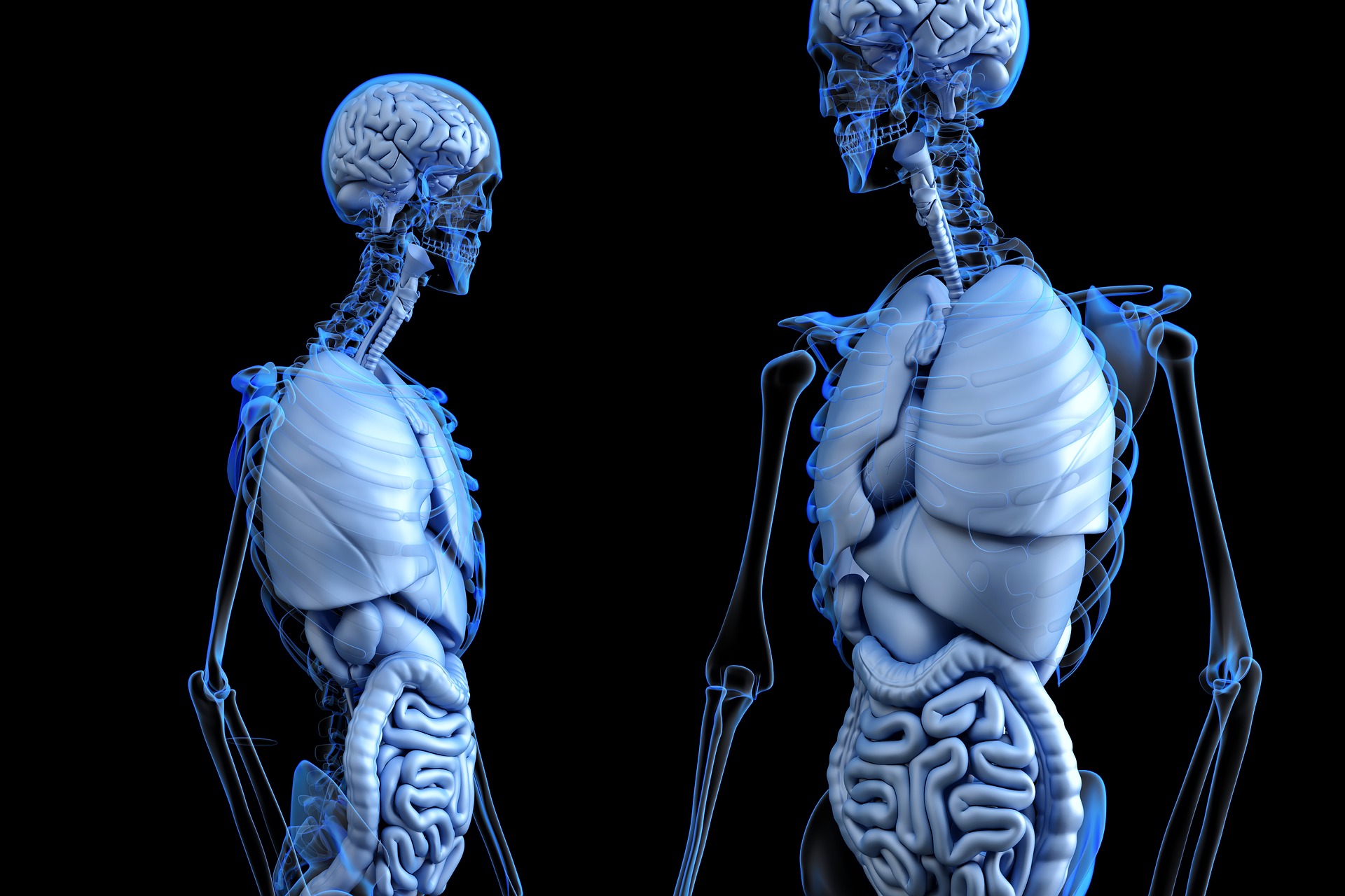 When to Order an MRI with Contrast Biology Diagrams